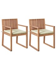 Set of 2 Garden Chairs with