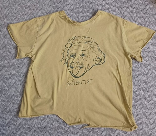 Albert einstein theory - einstein,