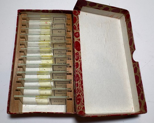 Vtg microscopic slides - vtg,