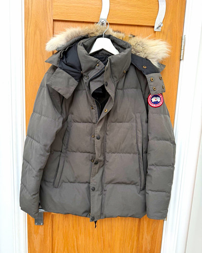 Canada goose arctic - arctic, program