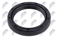 Camshaft Shaft Seal NTY Fits