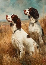 Vintage Springer Spaniels Oil