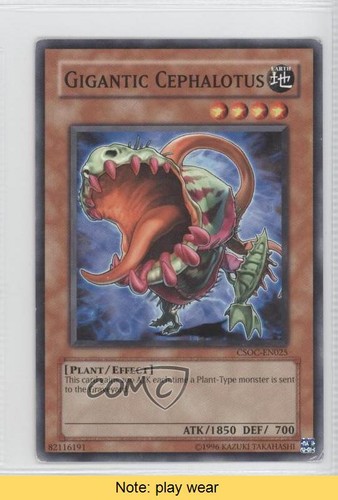 Gigantic cephalotus unlimited - gigantic,