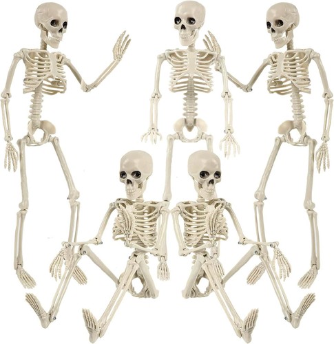 5pcs halloween skeleton - 5pcs,