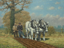 Robin Wheeldon - Original Oil