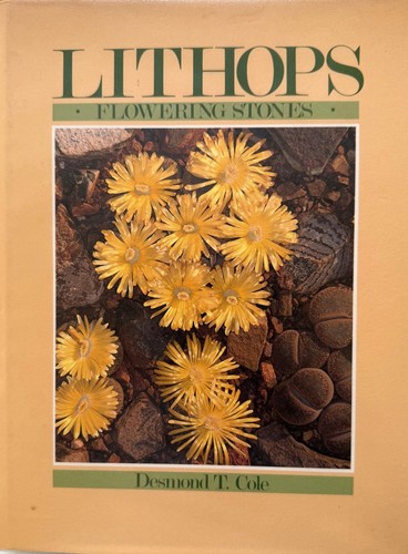 Lithops flowering stones - lithops:,