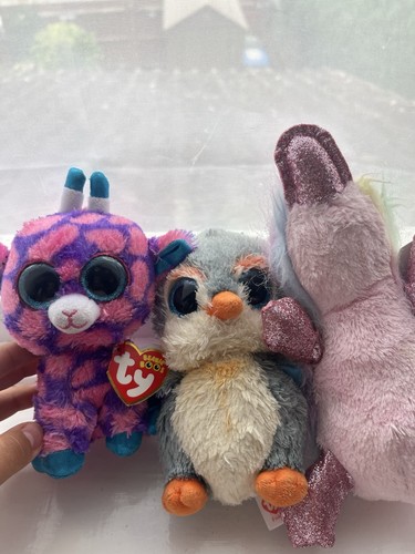 Beanie boo bundle - ty,