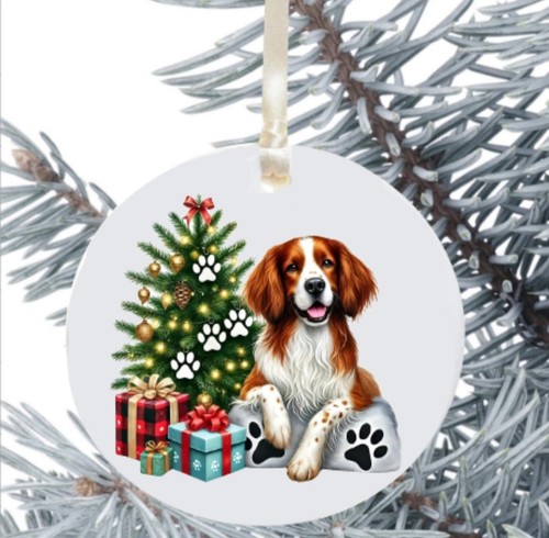 Welsh springer spaniel - welsh,
