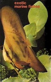 Exotic marine fishes - marine,