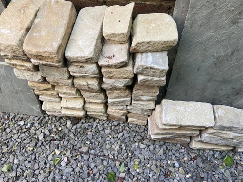 Fossil mint tumbled - fossil,