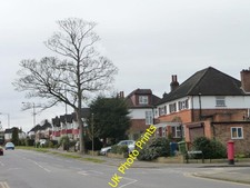 Photo 6x4 Tree on the north