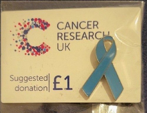 Charity pin badge - , cancer