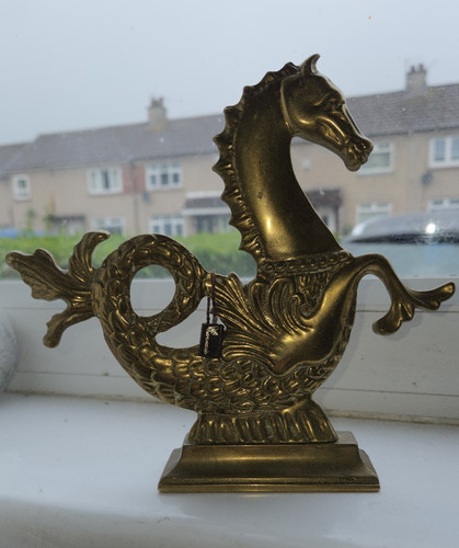 Venetian hippocampus seahorse - hippocampus/,