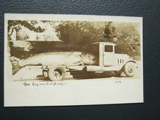 The Big One Got Away Giant Fish On A Truck RPPC