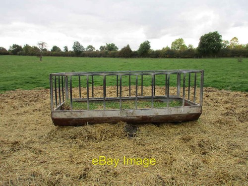 Photo 6x4 cattle - photo,