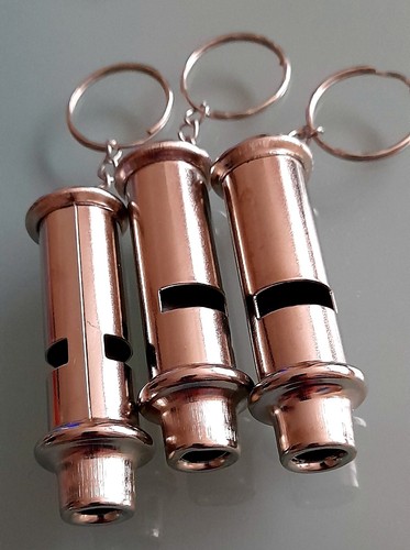 Whistle with key - key, ring