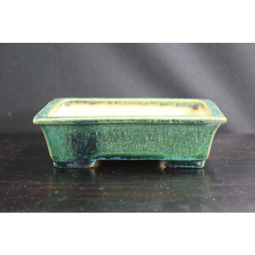 Bonsai pot tokoname ware - tokoname,