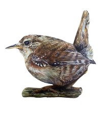 Jenny Wren Magnet - Jenny Wren