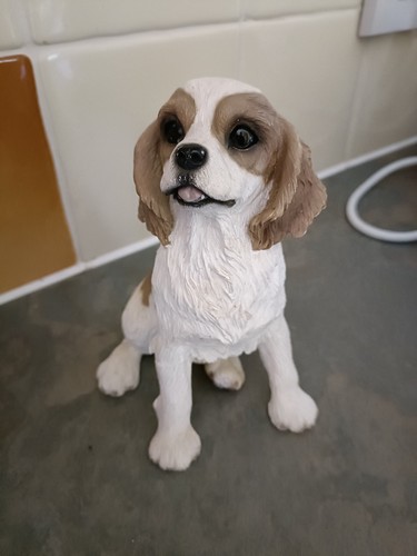 Fraser creations cavalier king - cavalier,