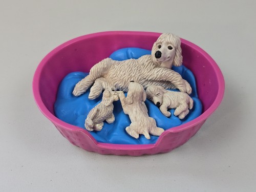 Puppy pocket poodle - puppy, my