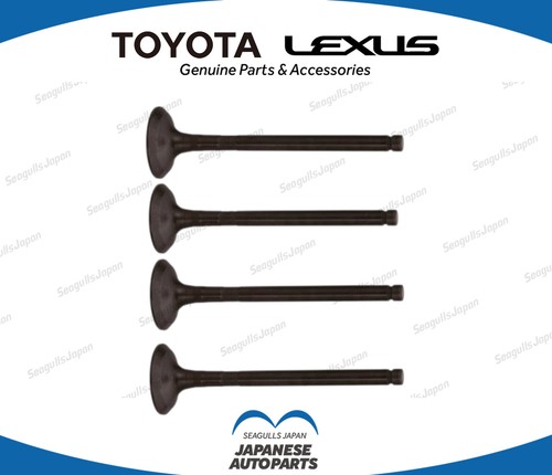 Toyota oem genuine land - genuine,