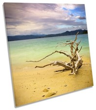 Beach Driftwood Seascape Picture CANVAS WALL ART Square Print