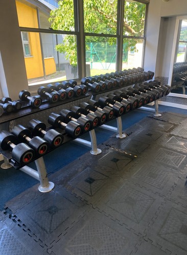Lifefitness dumbbell set 2kg - set,