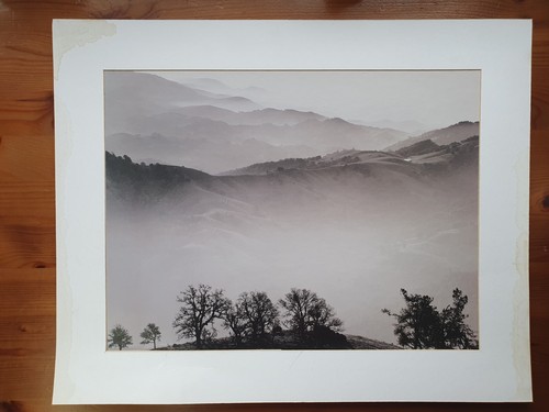 Black white print misty - black,