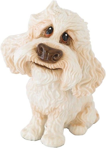 Little paws poodle - little, cross