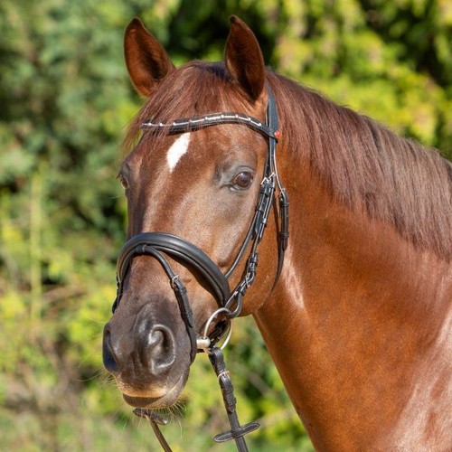 Kieffer bridle ultrasoft - bridle, ultrasoft®