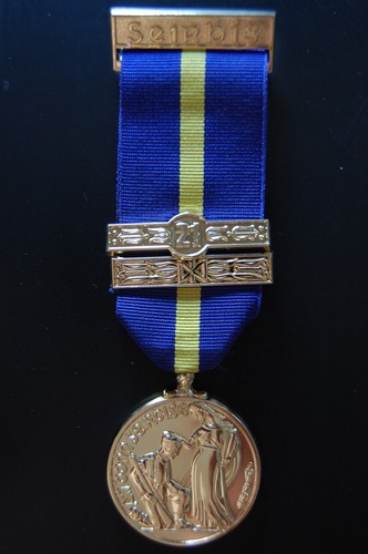 Irish reserve medal - reserve,