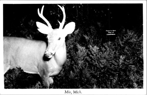 Rppc mio michigan - rppc,