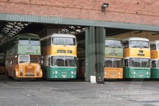 Bus Photo - Greater Glasgow PTE Parkhead Garage line-up SGD124 RGB599M etc