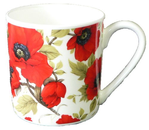 Pint 20oz bone china mug - 1,