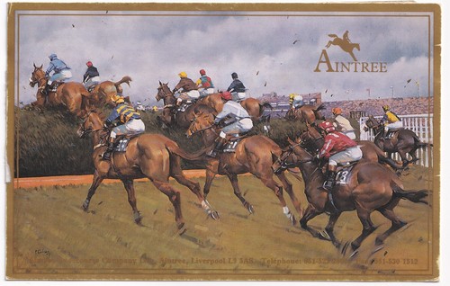 Aintree racecourse postcard - racecourse,
