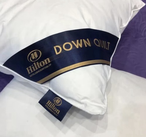 Luxury hilton hotel - hilton,