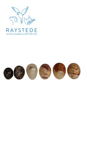 Genuine onyx egg set multi - genuine,