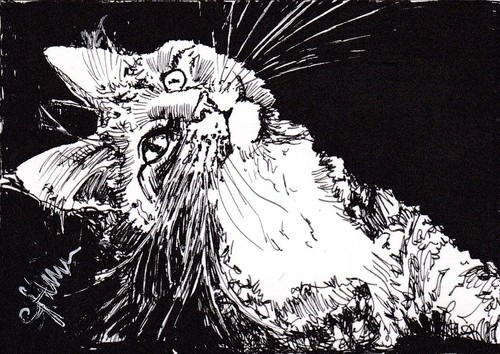Limited edition print aceo - edition,