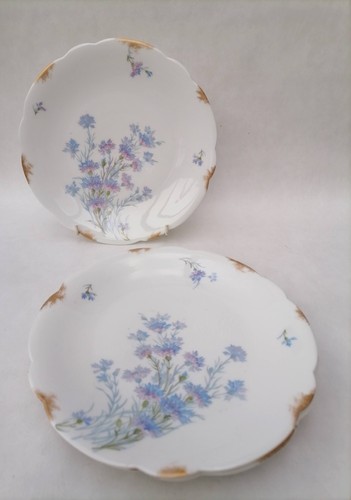 Antique limoges plates - antique,