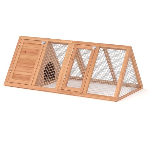 Backyard chicken coop - backyard,