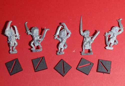 Warhammer fantasy marauder - fantasy,,