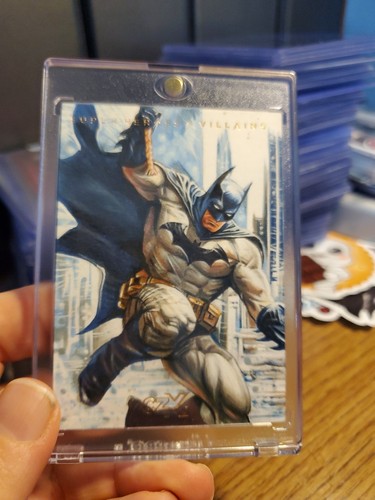 Czx cryptozoic super heros - dc,