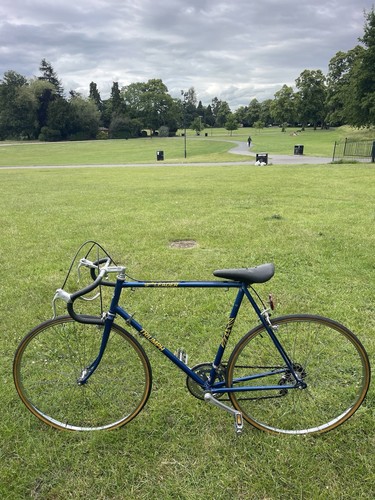 Triumph team leader road bike - road,