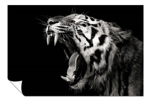 Black white yawning tiger - white,