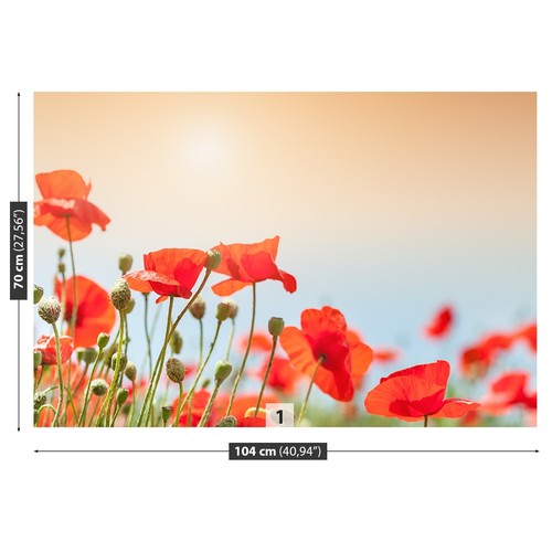 Non woven wall mural - non, photo