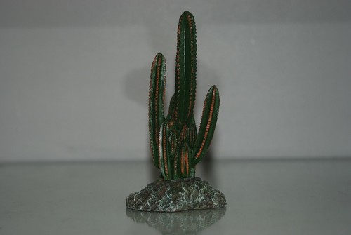 Vivarium reptile cactus with - reptile,