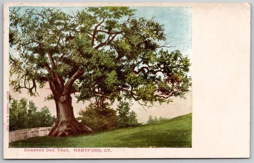 Charter oak tree - oak, ct