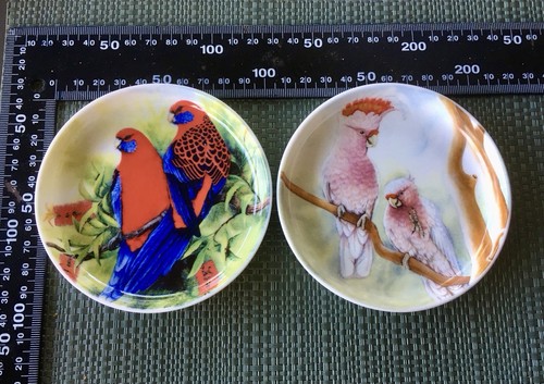 Maxwell williams birds - 'birds, of
