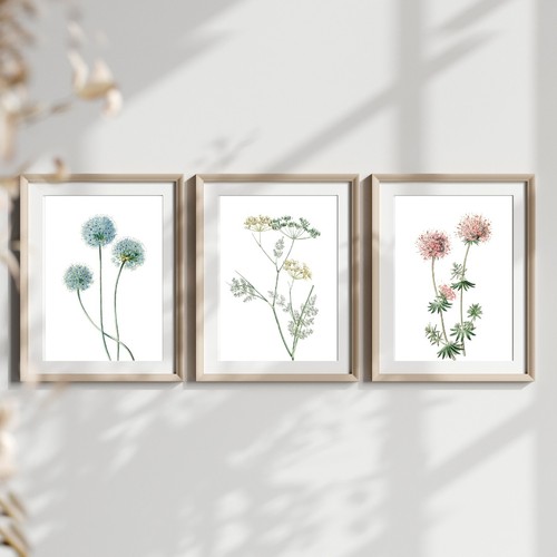 Dandelion flower print - dandelion, of