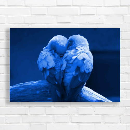 Pair lovebirds blue canvas - pair,